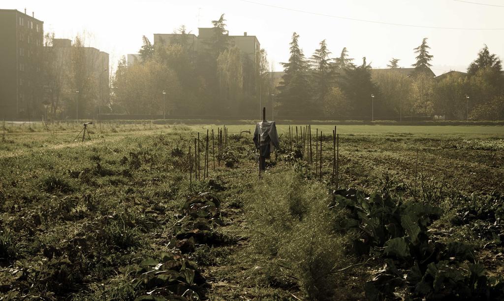 Podere San Giuliano Villa San Lazzaro di Savena Exterior foto